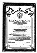 Управление образования администрации Куйбышевского района Новосибирской области.  Куйбышевский ДДТ. Благодарность за помощь в реализации проекта "1 районный интеллектуальный марафон среди воспитанников дошкольных образовательных организаций "Умники и умницы".